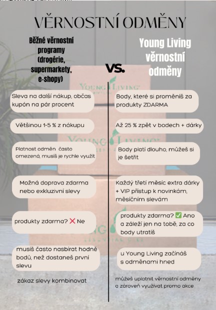 Snímek obrazovky 2025-10-13 170243